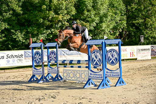 Show Jumping Event Stall Leichle in Schnarup | 17082025 Prf 16 KL A++ _222 