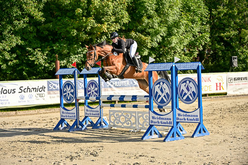 Show Jumping Event Stall Leichle in Schnarup | 17082025 Prf 16 KL A++ _223 