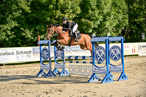 Show Jumping Event Stall Leichle in Schnarup | 17082025 Prf 16 KL A++ _224 