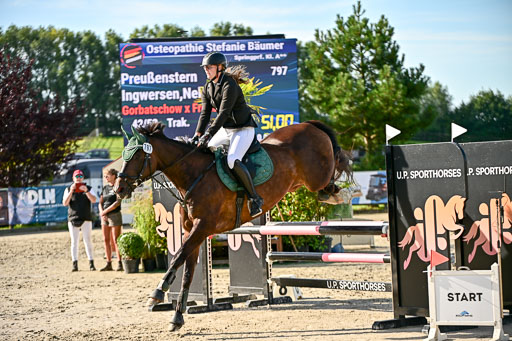 Show Jumping Event Stall Leichle in Schnarup | 17082025 Prf 16 KL A++ _231 