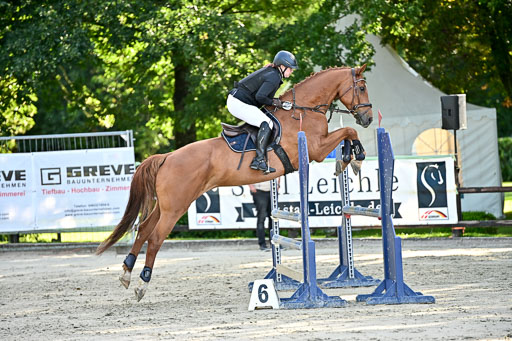 Show Jumping Event Stall Leichle in Schnarup | 17082025 Prf 16 KL A++ _233 