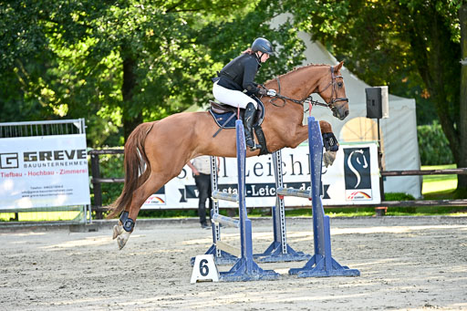 Show Jumping Event Stall Leichle in Schnarup | 17082025 Prf 16 KL A++ _234 