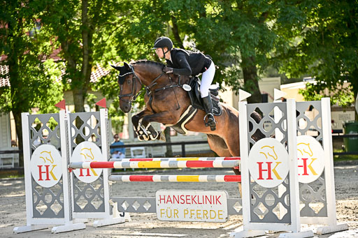 Show Jumping Event Stall Leichle in Schnarup | 17082025 Prf 16 KL A++ _257 