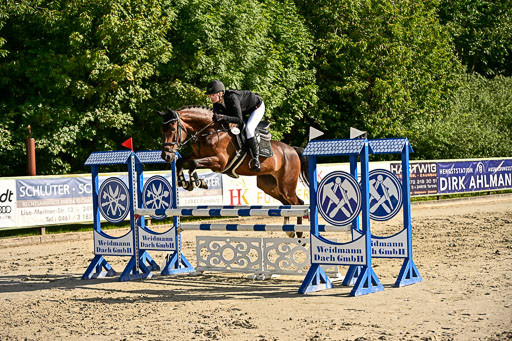 Show Jumping Event Stall Leichle in Schnarup | 17082025 Prf 16 KL A++ _259 