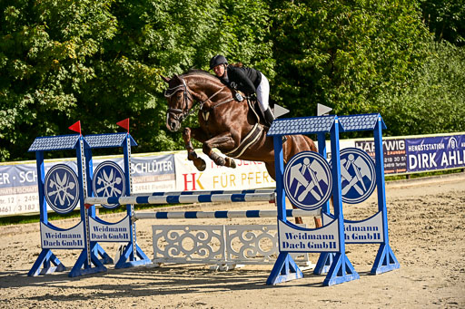 Show Jumping Event Stall Leichle in Schnarup | 17082025 Prf 16 KL A++ _265 