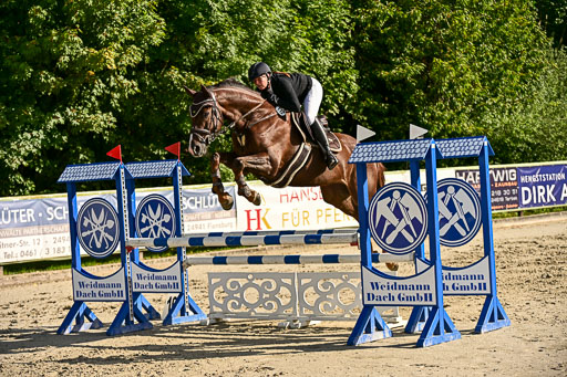 Show Jumping Event Stall Leichle in Schnarup | 17082025 Prf 16 KL A++ _266 