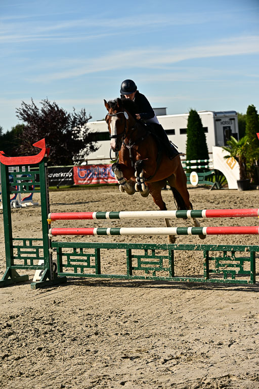 Show Jumping Event Stall Leichle in Schnarup | 17082025 Prf 16 KL A++ _267 
