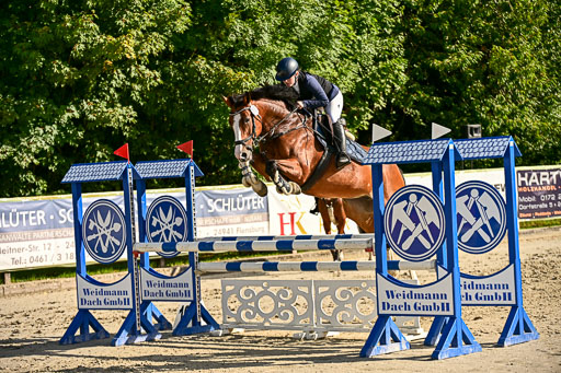 Show Jumping Event Stall Leichle in Schnarup | 17082025 Prf 16 KL A++ _271 
