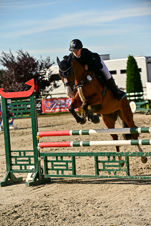 Show Jumping Event Stall Leichle in Schnarup | 17082025 Prf 16 KL A++ _272 