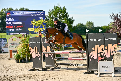Show Jumping Event Stall Leichle in Schnarup | 17082025 Prf 16 KL A++ _275 