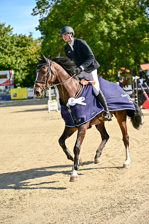 Show Jumping Event Stall Leichle in Schnarup | 17082025 Prf 16 KL A++ _280 