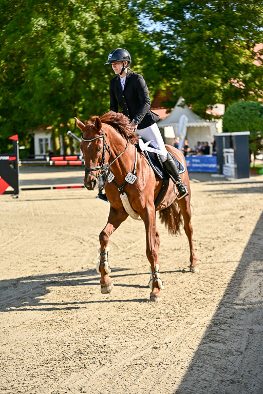 Show Jumping Event Stall Leichle in Schnarup | 17082025 Prf 16 KL A++ _284 