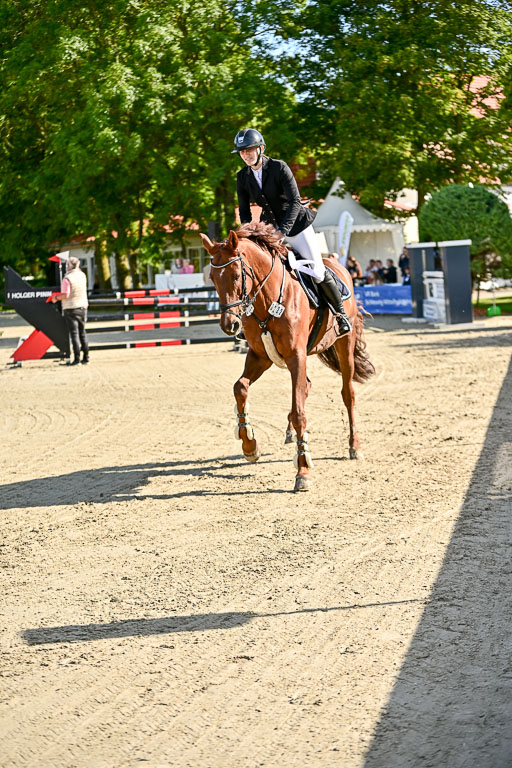 Show Jumping Event Stall Leichle in Schnarup | 17082025 Prf 16 KL A++ _290 
