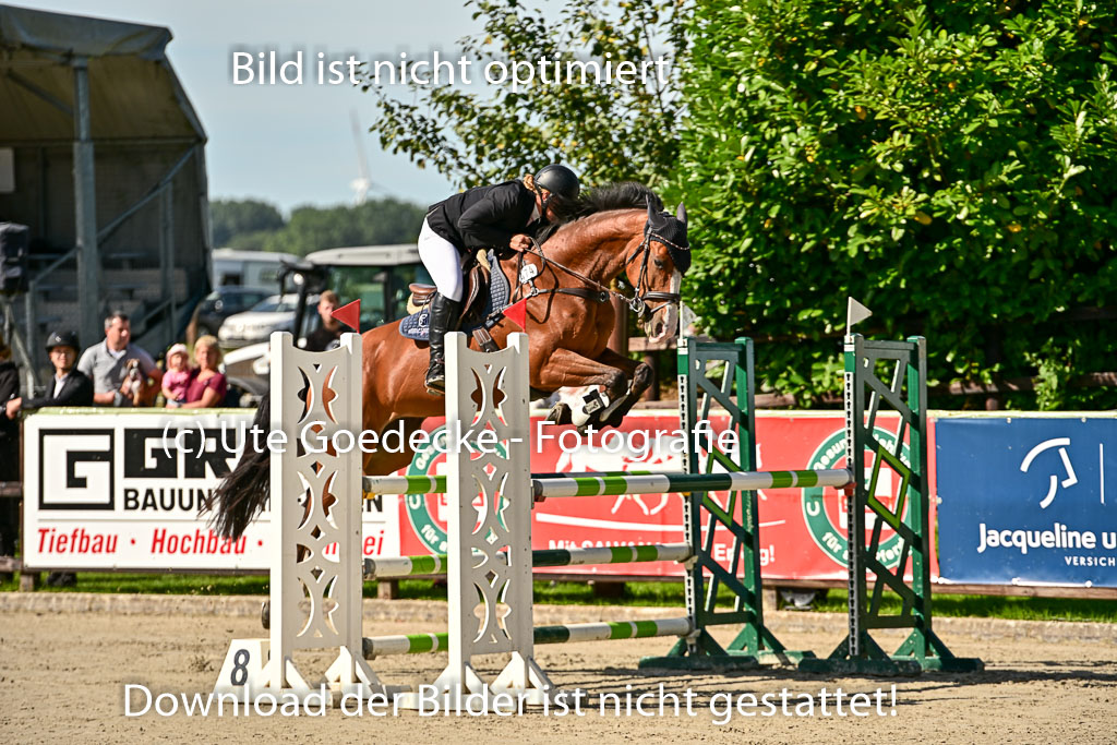 Show Jumping Event Stall Leichle in Schnarup | 17082025 KL L Punkte _006 