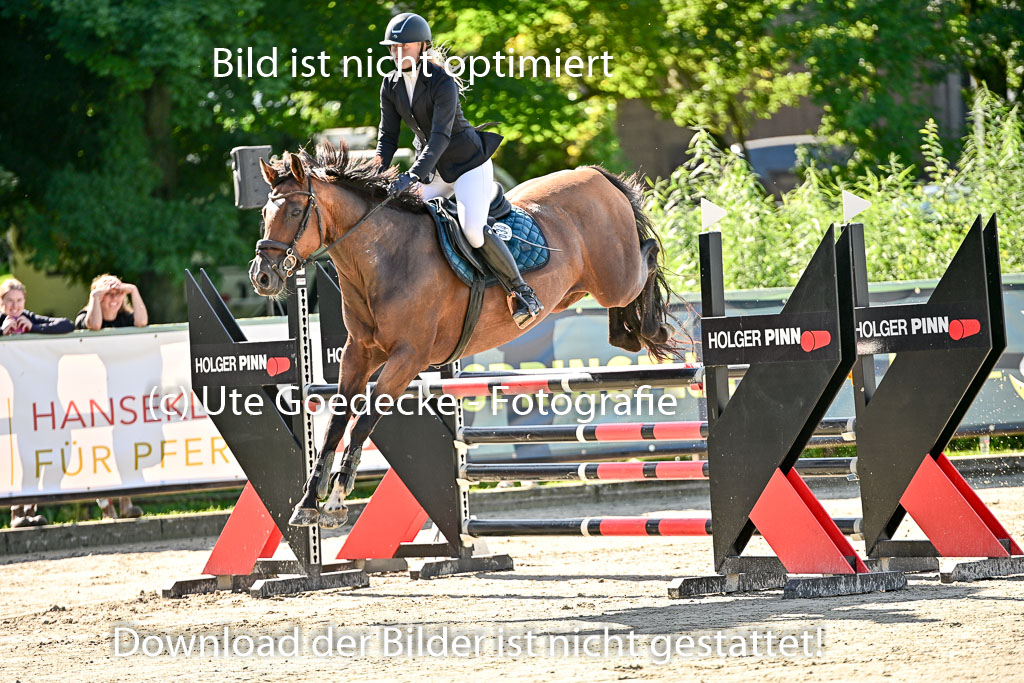 Show Jumping Event Stall Leichle in Schnarup | 17082025 KL L Punkte _009 