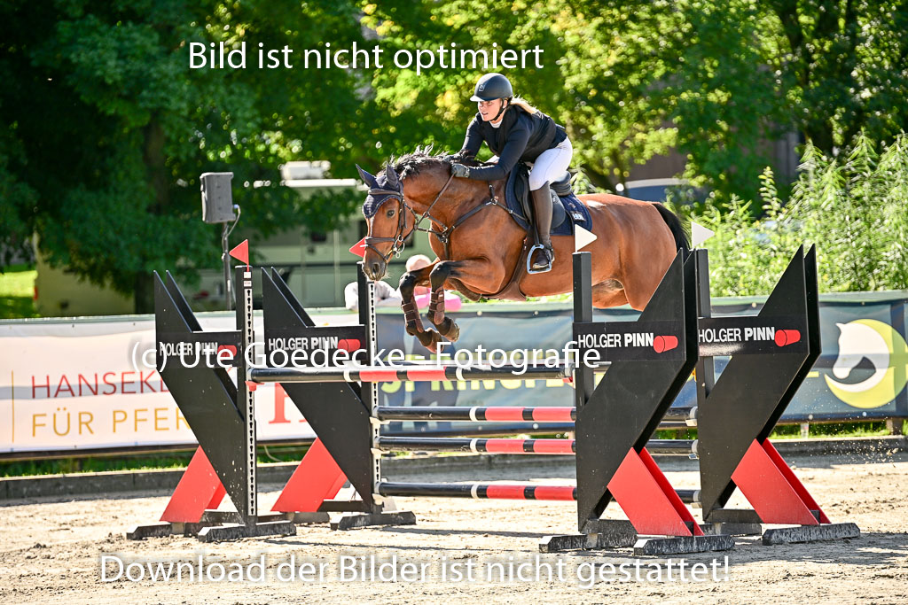 Show Jumping Event Stall Leichle in Schnarup | 17082025 KL L Punkte _026 