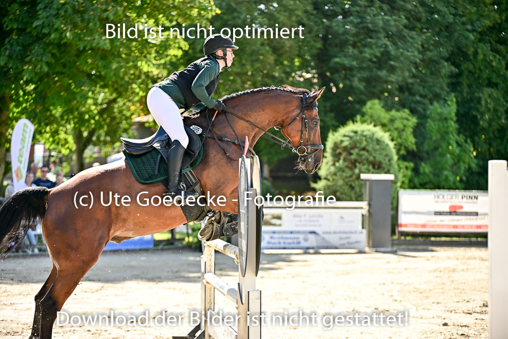 Show Jumping Event Stall Leichle in Schnarup | 17082025 KL L Punkte _054 