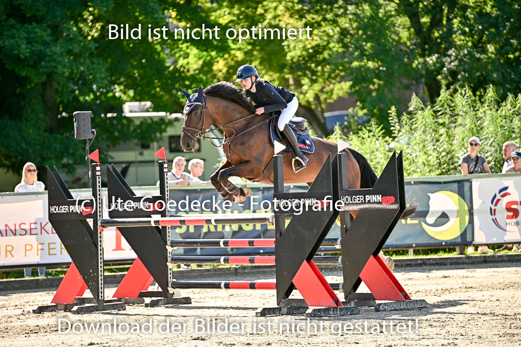 Show Jumping Event Stall Leichle in Schnarup | 17082025 KL L Punkte _062 