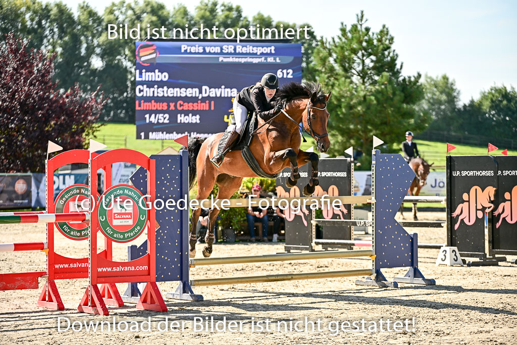 Show Jumping Event Stall Leichle in Schnarup | 17082025 KL L Punkte _071 