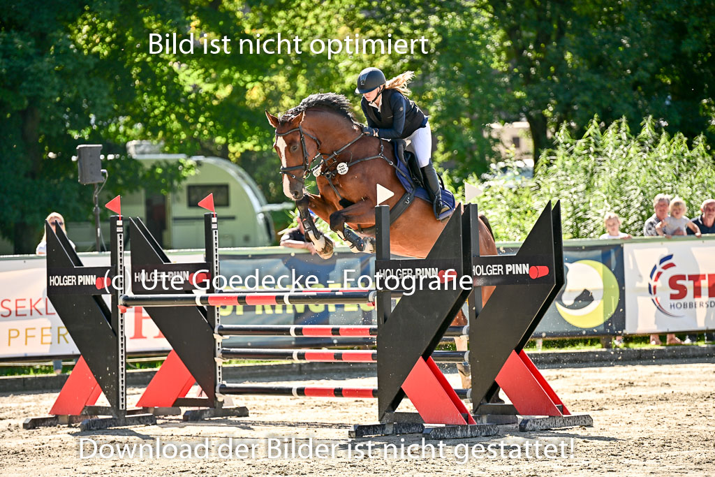 Show Jumping Event Stall Leichle in Schnarup | 17082025 KL L Punkte _196 