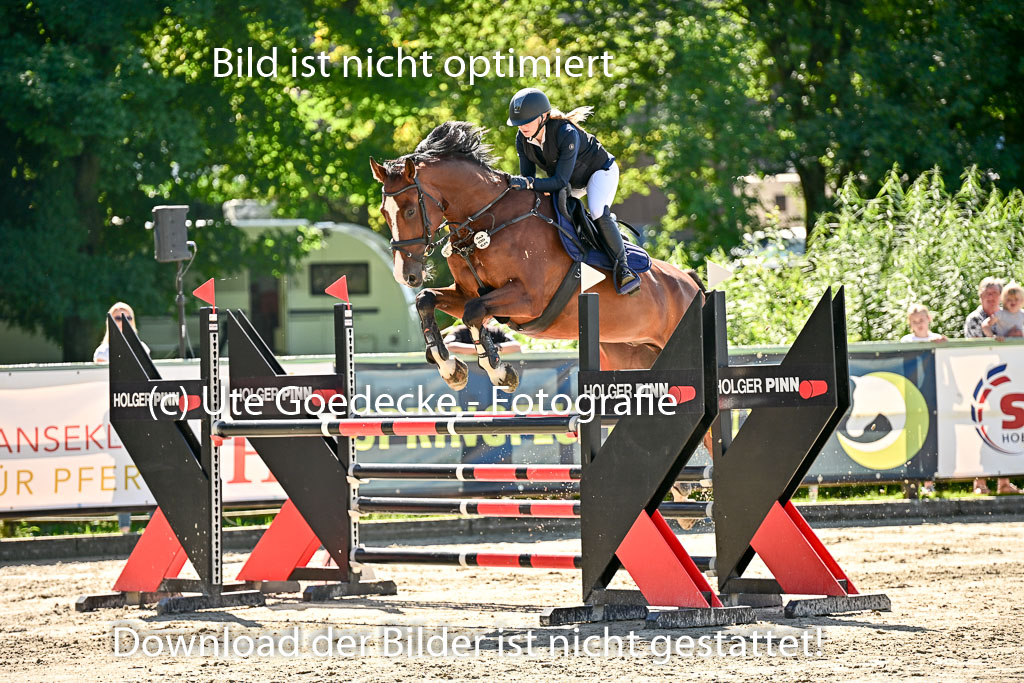 Show Jumping Event Stall Leichle in Schnarup | 17082025 KL L Punkte _197 