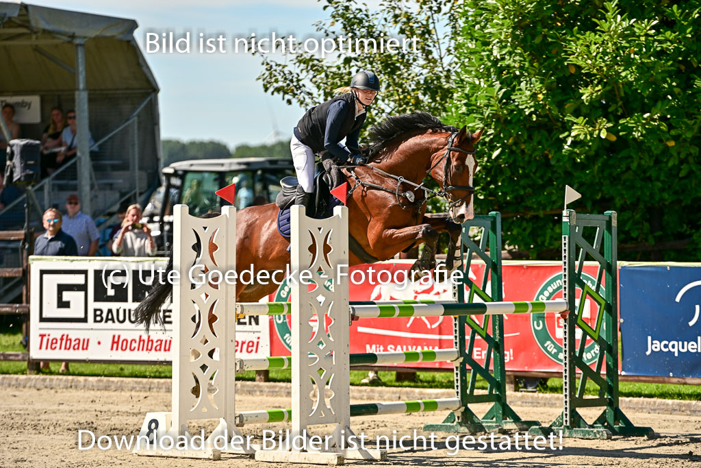 Show Jumping Event Stall Leichle in Schnarup | 17082025 KL L Punkte _198 