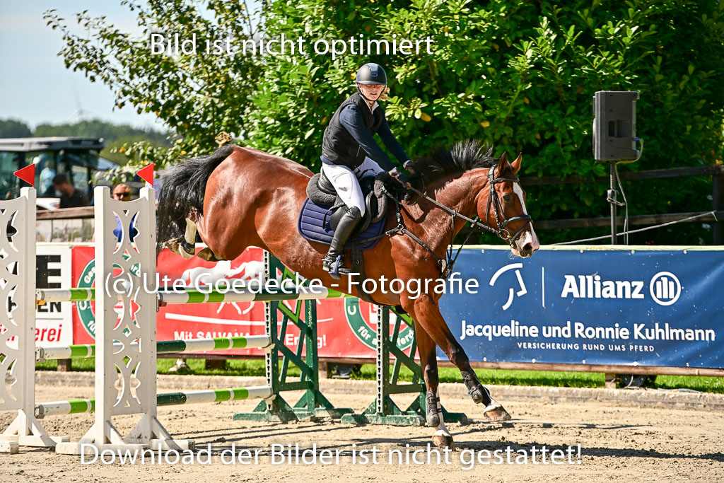 Show Jumping Event Stall Leichle in Schnarup | 17082025 KL L Punkte _199 