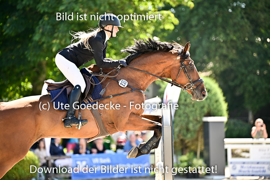 Show Jumping Event Stall Leichle in Schnarup | 17082025 KL L Punkte _213 