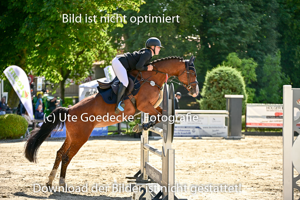 Show Jumping Event Stall Leichle in Schnarup | 17082025 KL L Punkte _220 