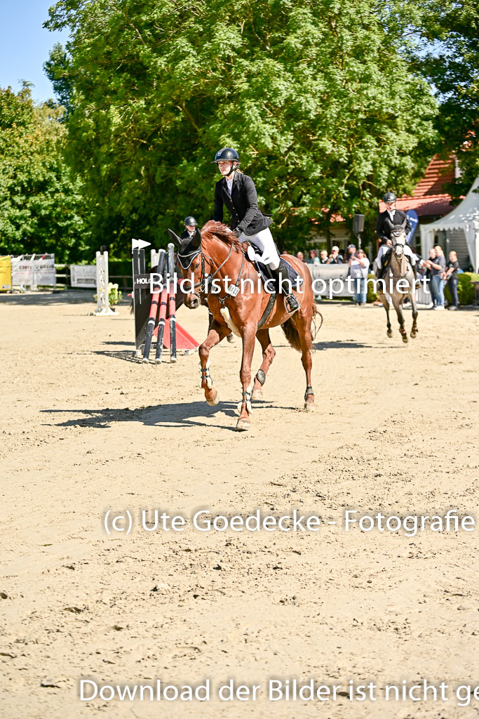 Show Jumping Event Stall Leichle in Schnarup | 17082025 KL L Punkte _229 