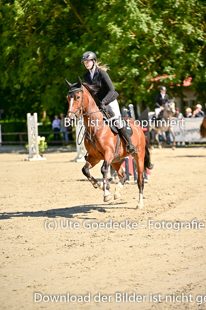 Show Jumping Event Stall Leichle in Schnarup | 17082025 KL L Punkte _239 