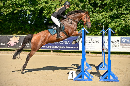Show Jumping Event Stall Leichle in Schnarup | 17082025 KL L Punkte _007 