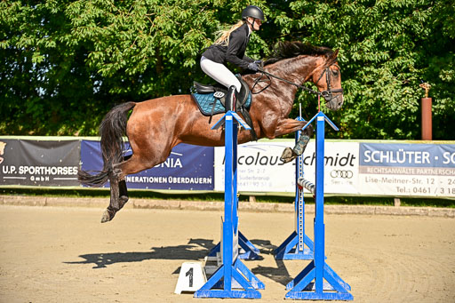 Show Jumping Event Stall Leichle in Schnarup | 17082025 KL L Punkte _008 