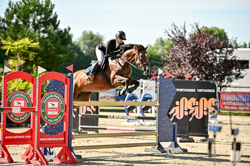 Show Jumping Event Stall Leichle in Schnarup | 17082025 KL L Punkte _013 