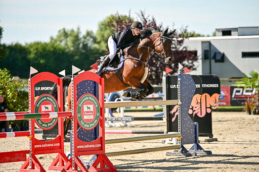 Show Jumping Event Stall Leichle in Schnarup | 17082025 KL L Punkte _042 