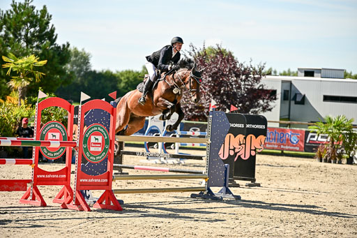Show Jumping Event Stall Leichle in Schnarup | 17082025 KL L Punkte _053 