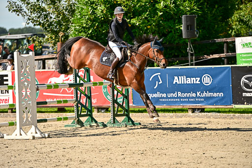 Show Jumping Event Stall Leichle in Schnarup | 17082025 KL L Punkte _086 