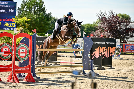 Show Jumping Event Stall Leichle in Schnarup | 17082025 KL L Punkte _089 
