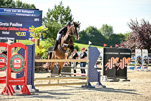 Show Jumping Event Stall Leichle in Schnarup | 17082025 KL L Punkte _094 