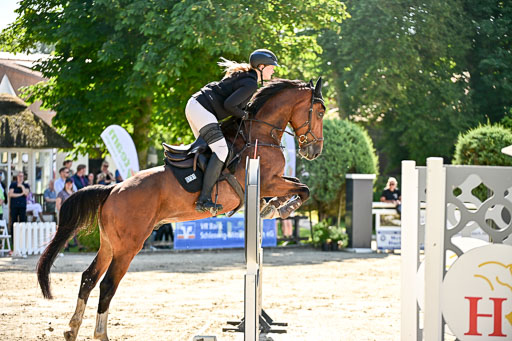 Show Jumping Event Stall Leichle in Schnarup | 17082025 KL L Punkte _100 
