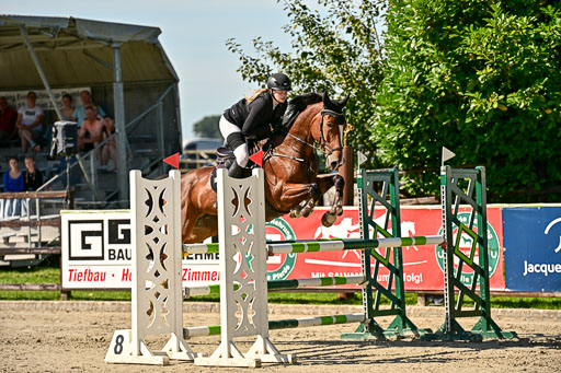 Show Jumping Event Stall Leichle in Schnarup | 17082025 KL L Punkte _103 