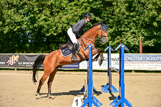 Show Jumping Event Stall Leichle in Schnarup | 17082025 KL L Punkte _112 