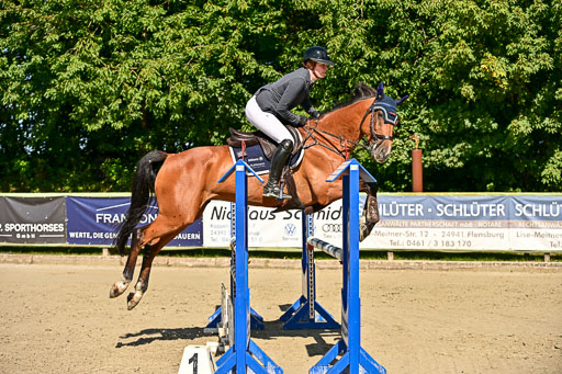 Show Jumping Event Stall Leichle in Schnarup | 17082025 KL L Punkte _113 