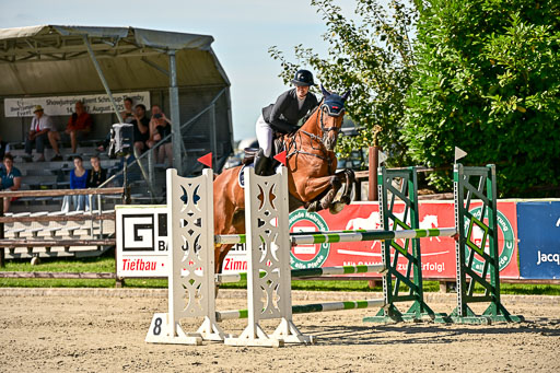 Show Jumping Event Stall Leichle in Schnarup | 17082025 KL L Punkte _117 