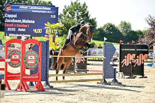 Show Jumping Event Stall Leichle in Schnarup | 17082025 KL L Punkte _134 