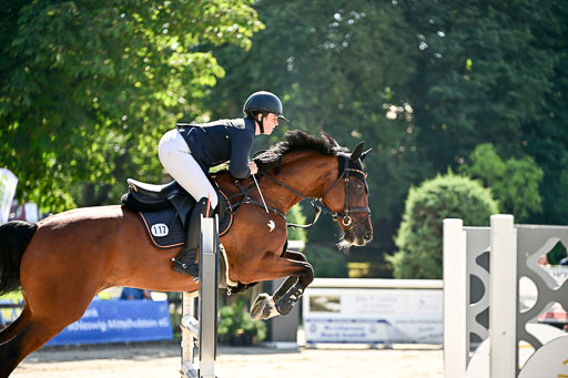 Show Jumping Event Stall Leichle in Schnarup | 17082025 KL L Punkte _136 