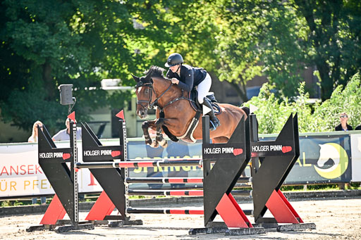 Show Jumping Event Stall Leichle in Schnarup | 17082025 KL L Punkte _137 