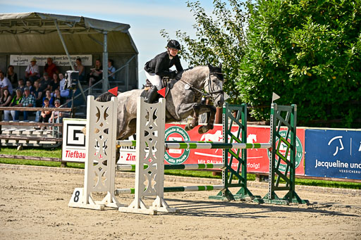 Show Jumping Event Stall Leichle in Schnarup | 17082025 KL L Punkte _145 