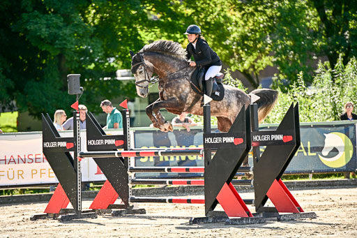 Show Jumping Event Stall Leichle in Schnarup | 17082025 KL L Punkte _149 