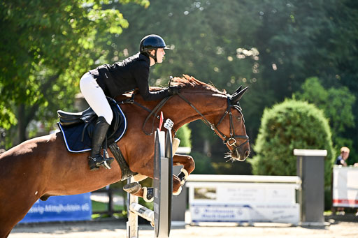 Show Jumping Event Stall Leichle in Schnarup | 17082025 KL L Punkte _158 